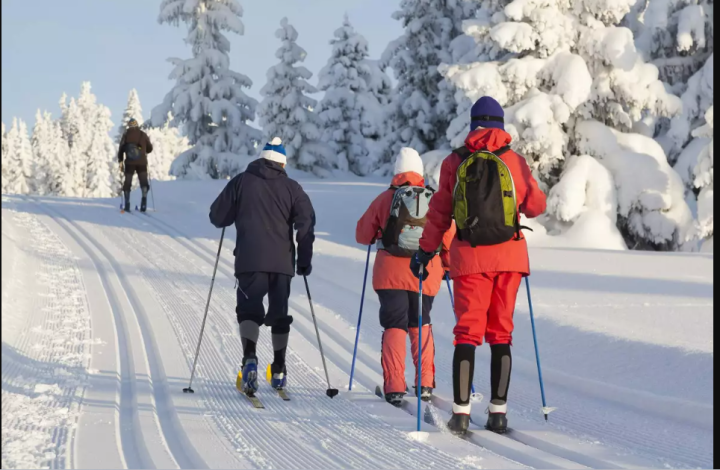 Location matériel de ski, Seyssinet-Pariset
