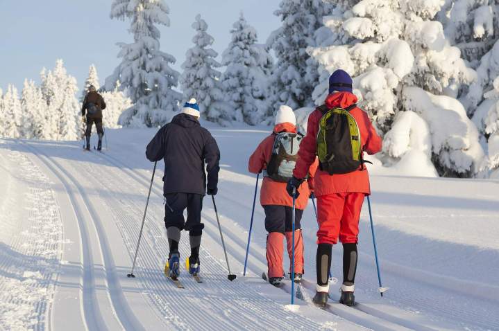 Location de skis pour adultes et enfants